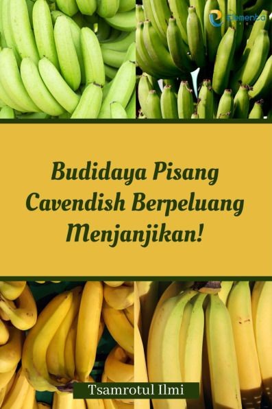 Budidaya Pisang Cavendish Berpeluang Menjanjikan!
